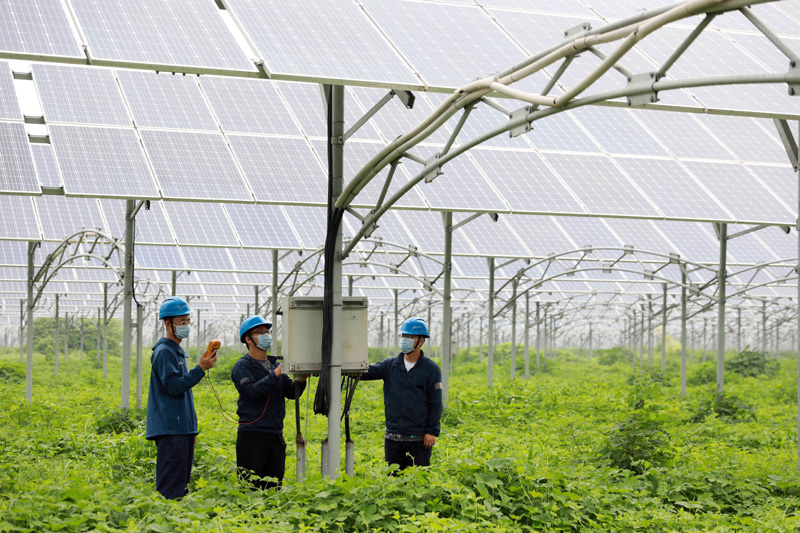 農業光伏電站